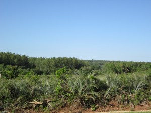 Views from around town.