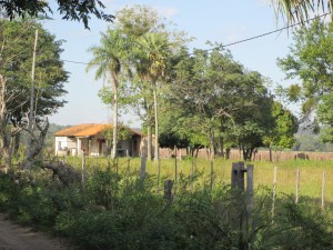 House at the edge of the field
